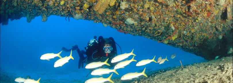De meest popluaire duikplekken van Curacao