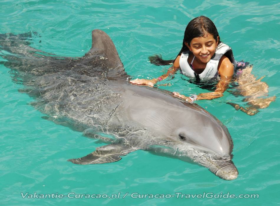 woonadres ego donker Curacao - Zwemmen met Dolfijnen